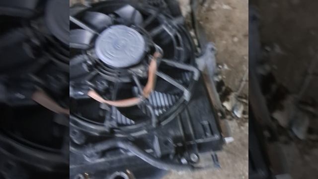 1000271261.mp4gf