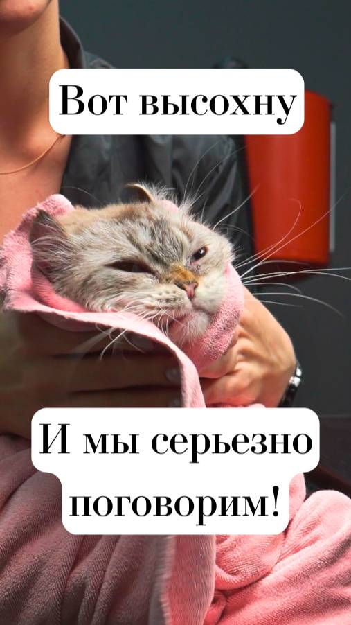 Нежность — с первого купания 🛁🐾