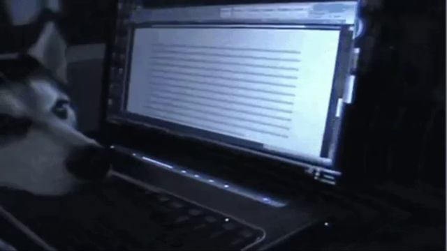 VID_20250623_144218_464.mp4