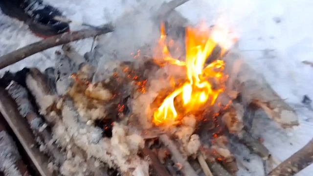 жжём пух от камышей.