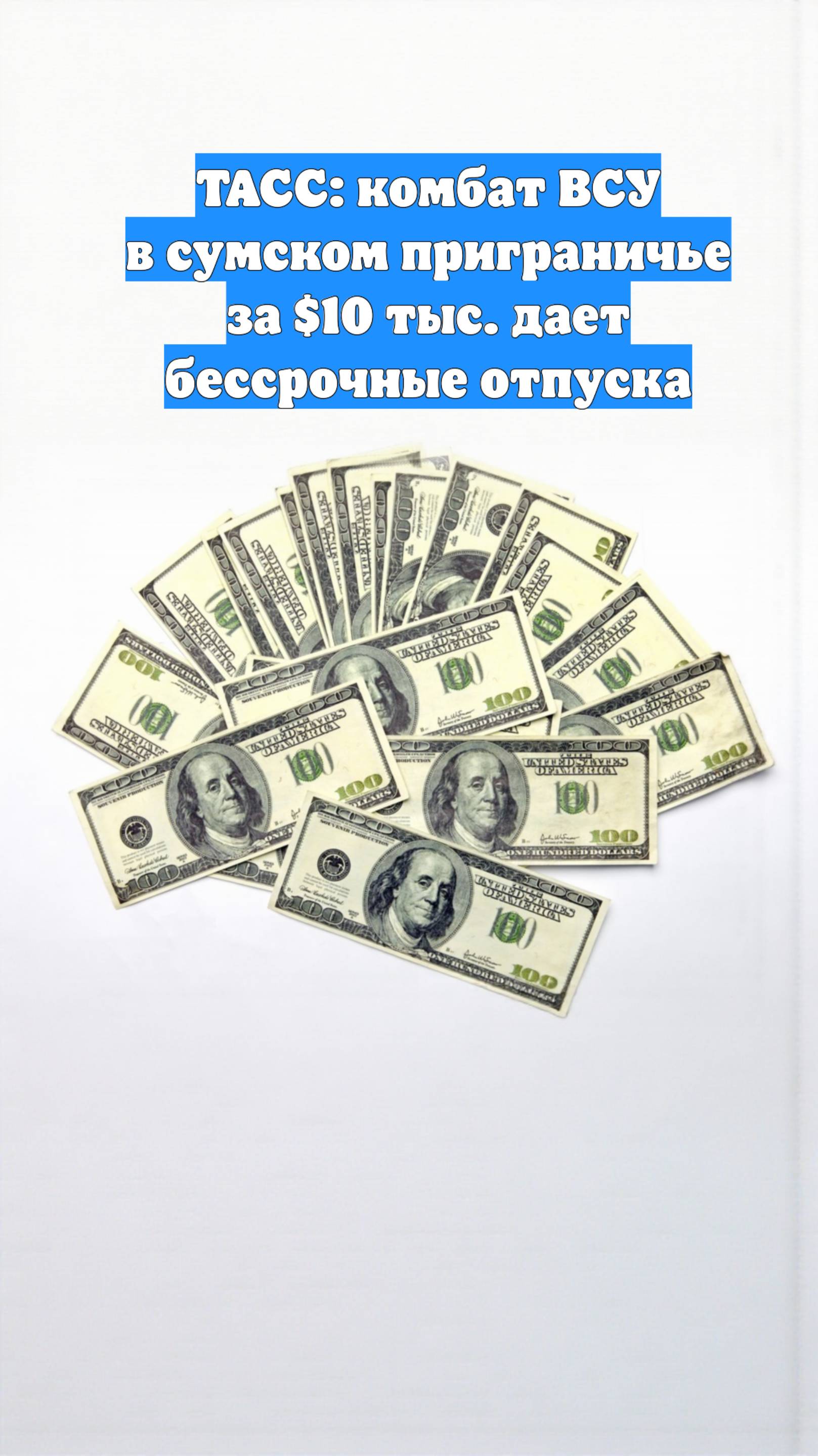 ТАСС: комбат ВСУ в сумском приграничье за $10 тыс. дает бессрочные отпуска