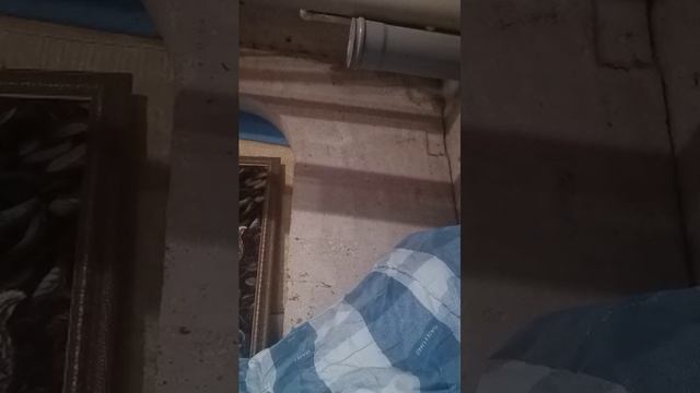 гз