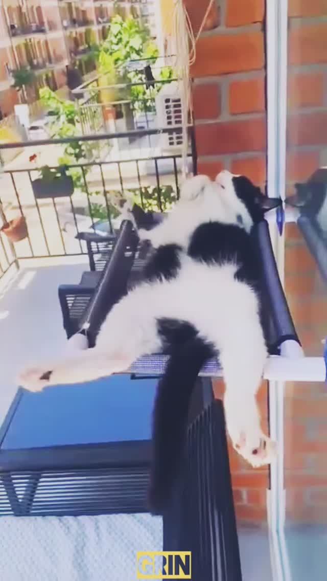 Доброе утро...✌️😸🍹