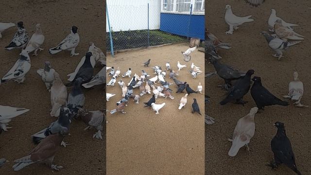 молодежь второй вывод.