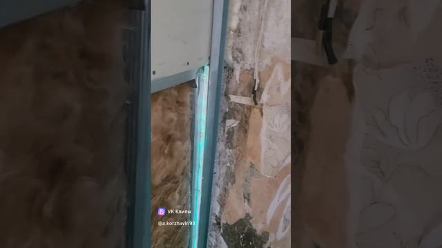1000004801.mp4