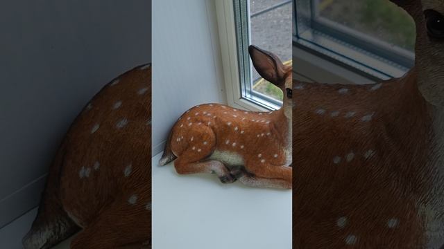 1000016706.mp4