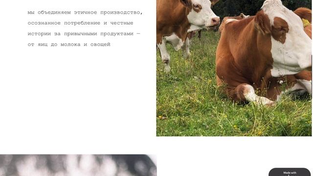 чернозем
