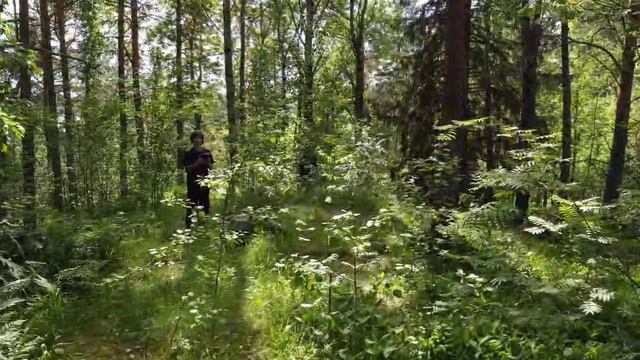 видео Ласасен