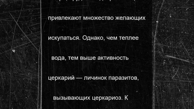 Врач предупредил, какими инфекциями можно заразиться при купании водоемах