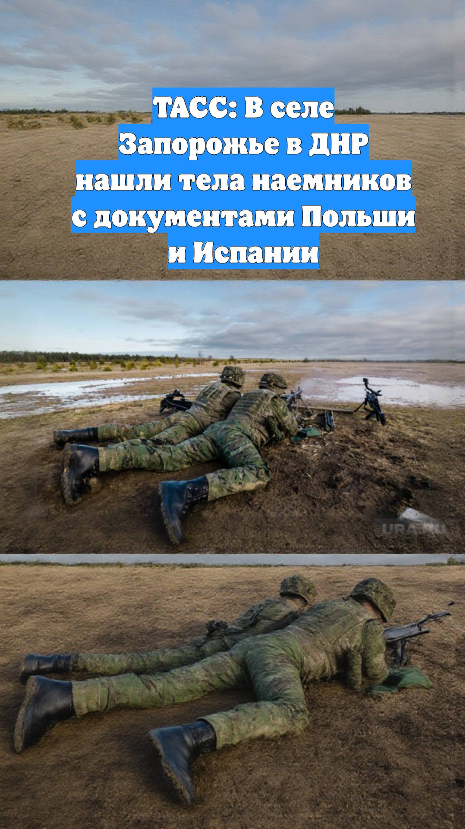 ТАСС: В селе Запорожье в ДНР нашли тела наемников с документами Польши и Испании