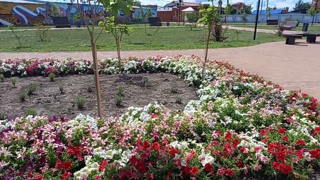 Цветушие клумбы в парках и скверах станицы Ленинградской