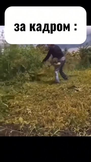 1000017237.mp4