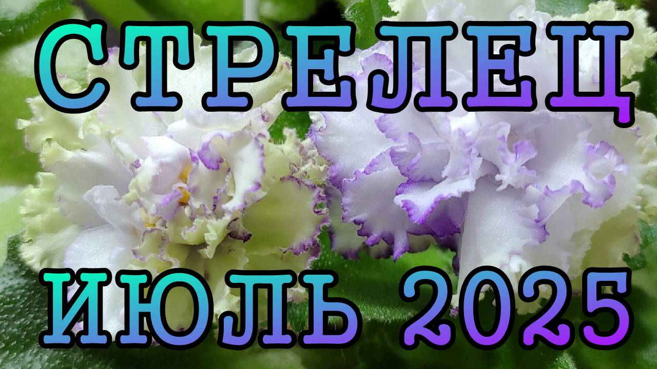 СТРЕЛЕЦ таро прогноз на ИЮЛЬ 2025 года.