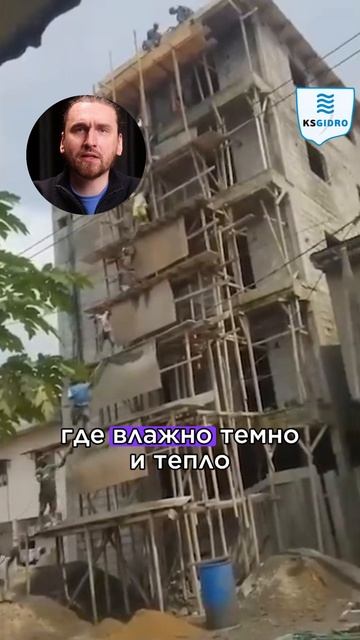 против плесени