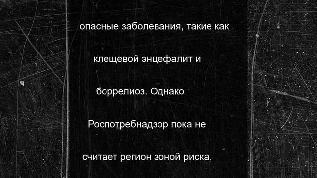Клещи добрались до Кольского полуострова