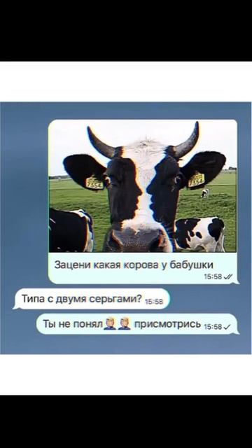 Корова - с иллюстрацией зрительной!.. 👀😱