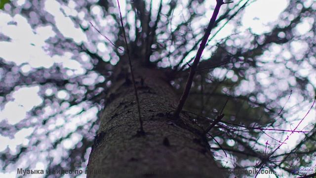 Кадры, которые заставят вас плакать от осознания! - По местам -- Фиорд -- Невзялазь