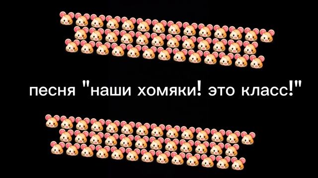песня наши хомяки! это класс!