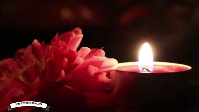 Молитва Богородице Дево Радуйся