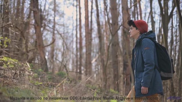 В голове остаётся только ритм и бескрайняя природа - 20 Minute Meditation 5 -- HoliznaCC0 -- Space -