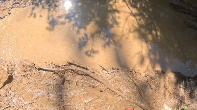 1000063570.mp4