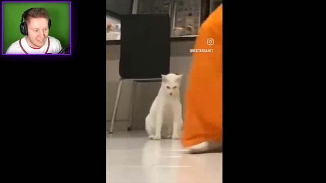 Поззи ЗАСМЕЯЛСЯ - ЗАДОНАТИЛ (4)