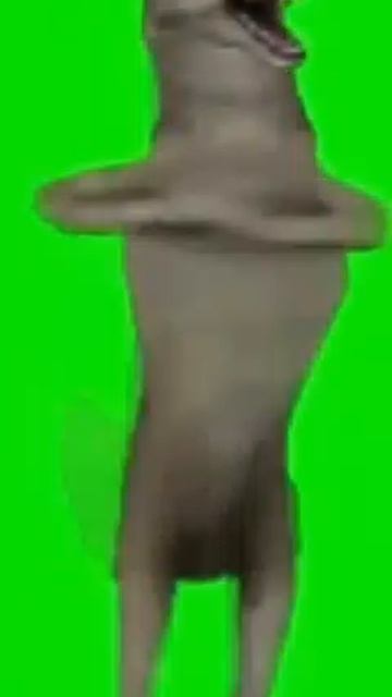 Ихвилит