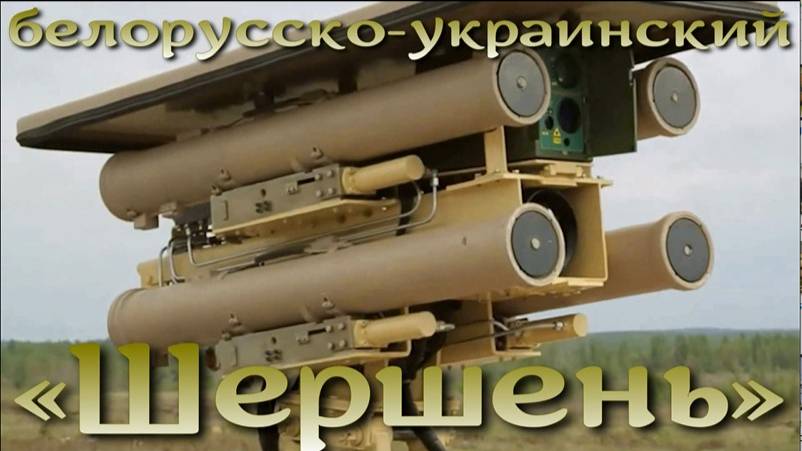 Белорусско-украинский «Шершень»