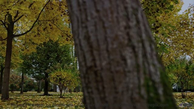 Эта мелодия раскрасит даже серые поля - Mysterious Footprints -- Nutmeg -- Almanac - Circle of Days