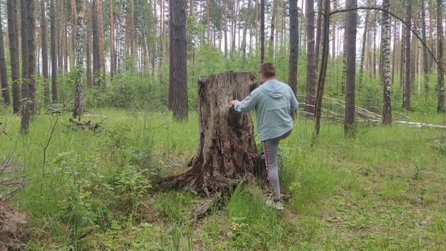 НЕ ЖАРКОЕ ЛЕТО 2025