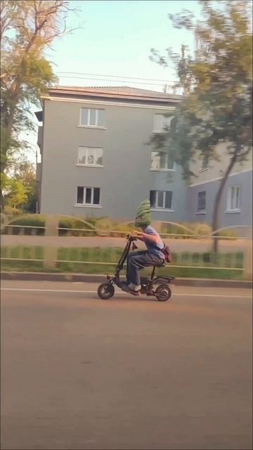 Мистер лопух.mp4