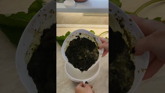 Целебный сок лопуха: природный эликсир здоровья!