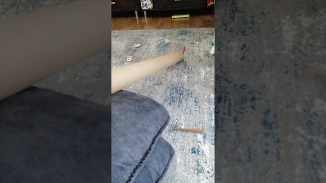 VID_20250623_174824.mp4