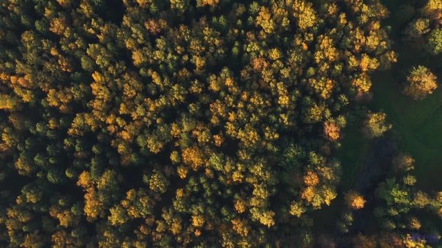 Ты не поймешь, как жил без этого видео раньше! - Encomium -- Evan Schaeffer -- Afterthought