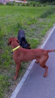 Отстань от меня