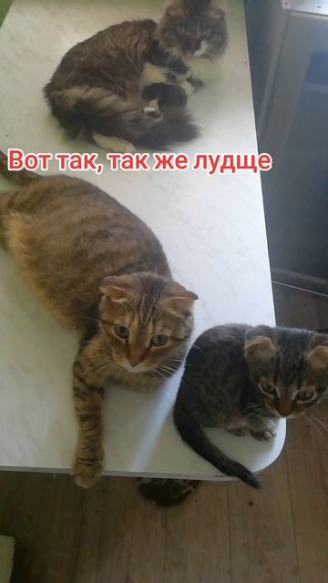 2025-06-23-164051678.mp4