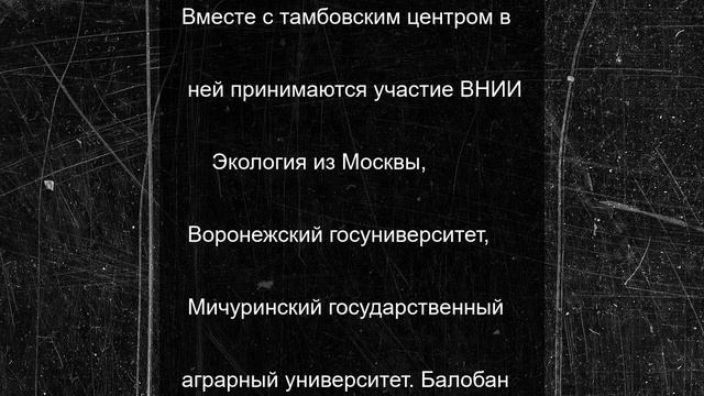 Молодые балобаны прибыли в Тамбовскую область для восстановления популяции