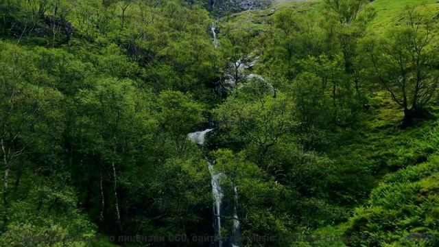 Поля и леса, когда музыка творит чудо - Celebration -- Scott Holmes Music -- Inspiring Background Mu