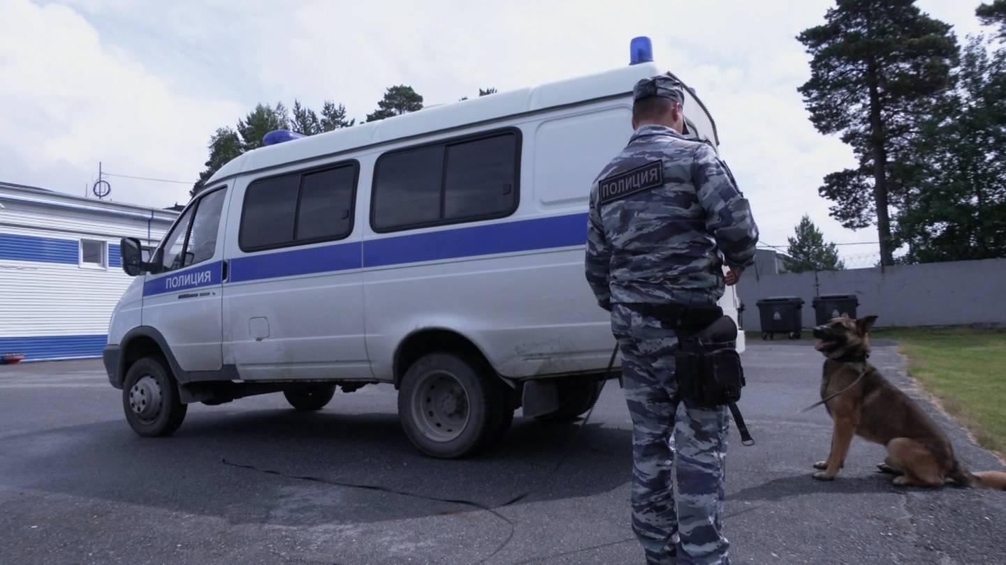 Лучших служебных собак определили в Югре