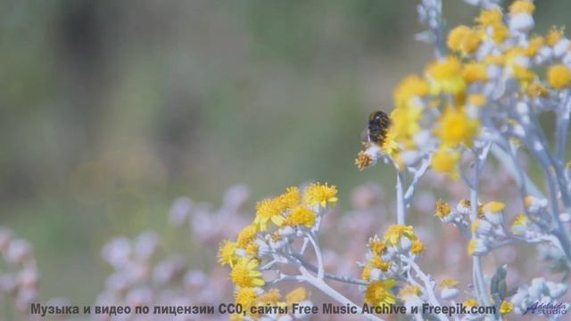 Звуки, которые могут заряжать ваш телефон - тест! - get over it -- Tinmouth -- Surprise time