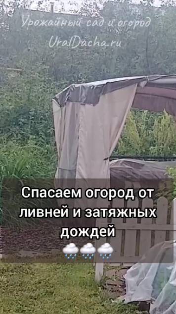 Так мы спасаем огород от затяжных ливневых дождей и града