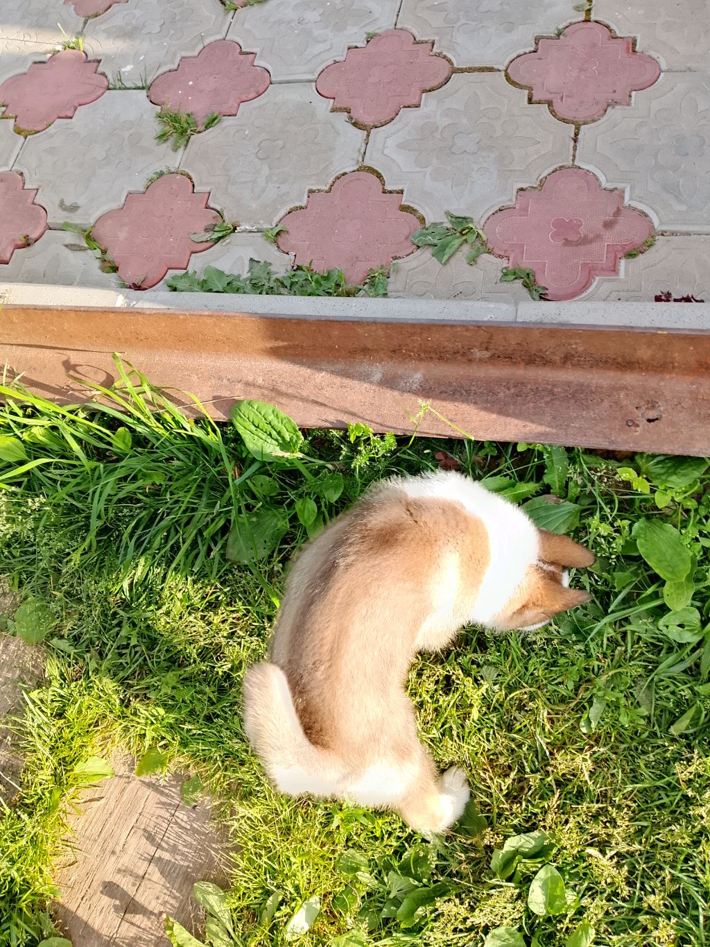 ооо