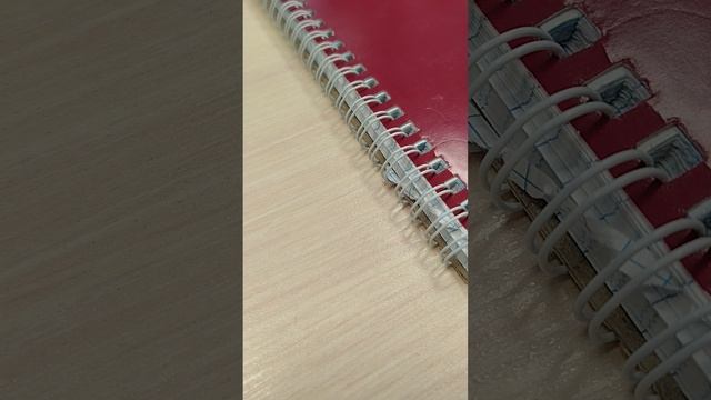 1000000584.mp4