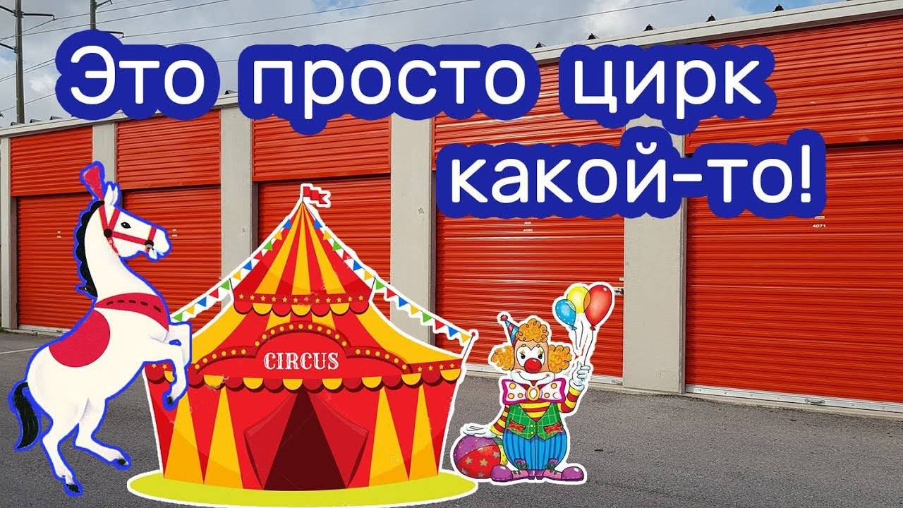 Лошади и лошадиные  бега. Находка в контейнере.