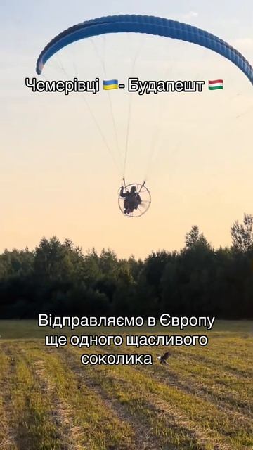 Побег из свинарника
