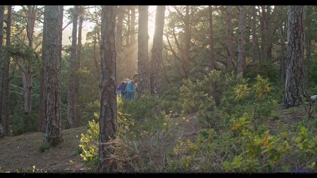 Почему этот пейзаж СВОДИТ людей с ума - My Word -- Derek Clegg -- Good Graces