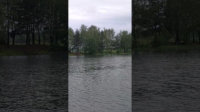 На улице свежо после сильного ливня, приехал купаться на водоём Карпятник на велосипеде