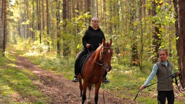 Конная прогулка по лесу