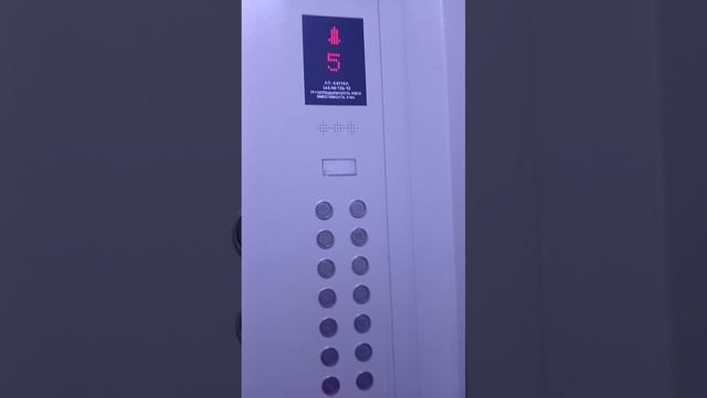 Я еду на лифте