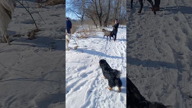 Засада на дороге